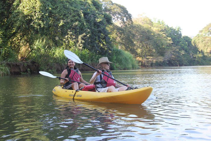 Wildlife and Mangrove Kayaking Tour Río Ora - Photo 1 of 4